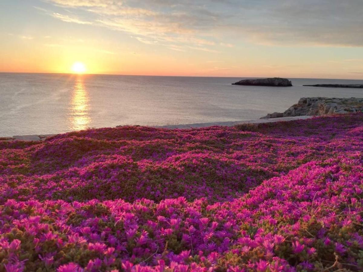 Manfredi Home Polignano a Mare Exteriör bild