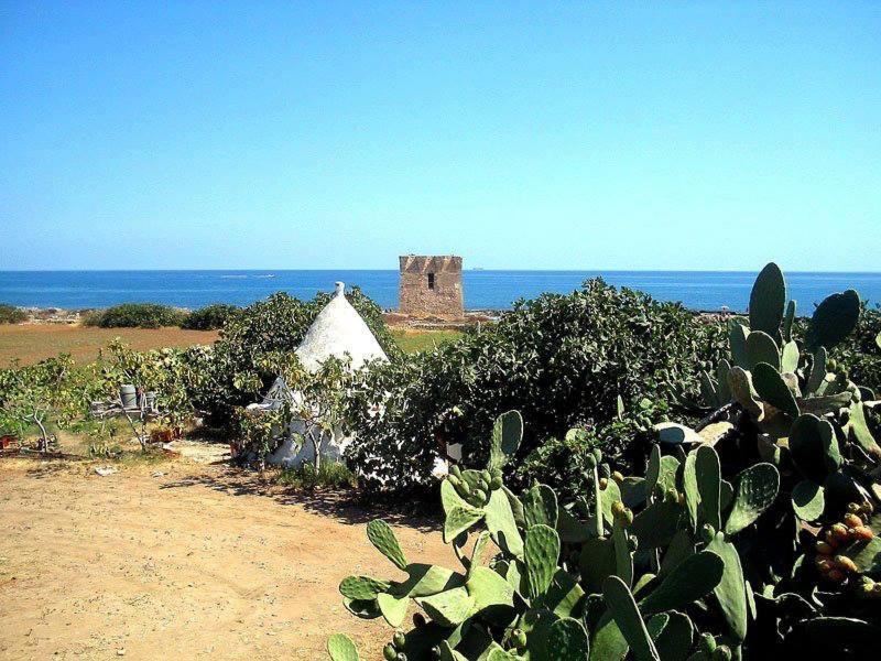 Manfredi Home Polignano a Mare Exteriör bild